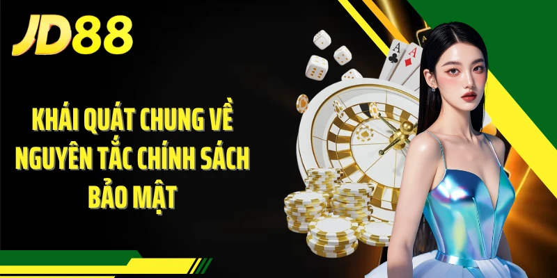 Khái quát chung về nguyên tắc chính sách bảo mật